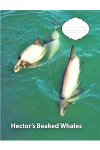 Hector's Beaked Whale Wide Ruled Line Paper Composition Book
