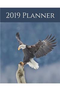 2019 Planner: Weekly Planner & Monthly Calendar - Desk Diary, Journal, Bald Eagle, Alaskan Eagle, Alaska, North American Wildlife, Raw Nature, Eagles, Birds