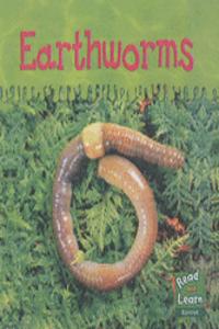 Ooey-Gooey Animals: Earthworms Hardback