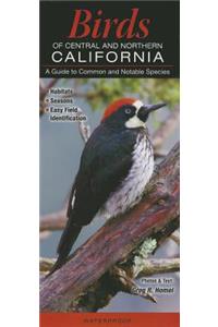 Birds of Central & Northern California
