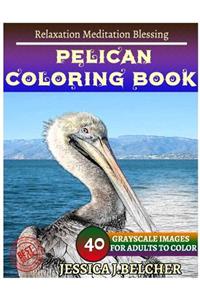 PELICAN Coloring Books