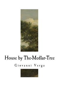 House by The-Medlar-Tree