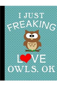 Composition Notebook: I Love Owls, Ok, Journal - 5x5 Quad Rule Graph Paper - 202 Pages, 7.44 X 9.69