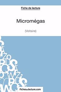 Micromégas - Voltaire (Fiche de lecture)