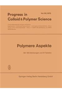 Polymere Aspekte