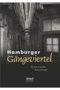 Hamburger Gängeviertel. Historische Ansichten