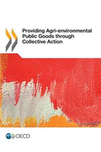 Providing Agri-Environmental Public Goods Through Collective Action