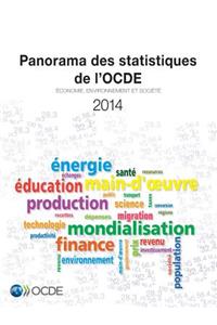 Panorama des statistiques de l'OCDE 2014
