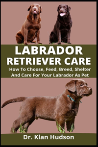 Labrador Retriever Care