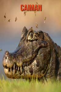 Caiman