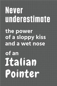 Never underestimate the power of a sloppy kiss and a wet nose of an Italian Pointer