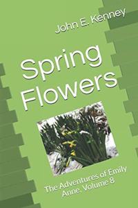 Spring Flowers