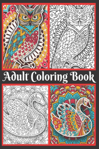 Adult Coloring Book