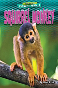 Squirrel Monkey
