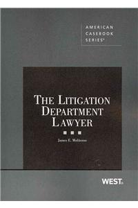 The Litigation Department Lawyer