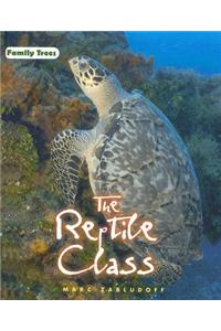Reptile Class