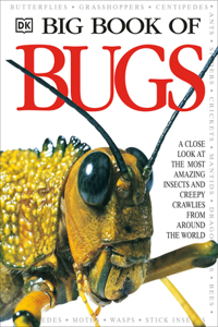 Big Book of Bugs