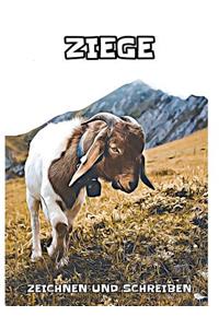 Ziege