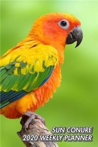 Sun Conure 2020 Weekly Planner