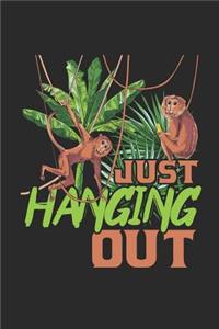 Just Hanging Out