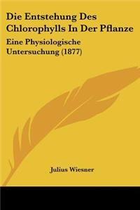 Entstehung Des Chlorophylls In Der Pflanze