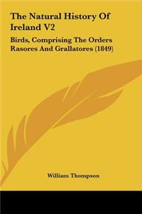 The Natural History of Ireland V2: Birds, Comprising the Orders Rasores and Grallatores (1849)