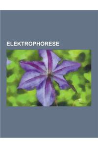 Elektrophorese: Agarose-Gelelektrophorese, 2D-Gelelektrophorese, Western Blot, Southern Blot, Ethidiumbromid, Kapillarelektrophorese,