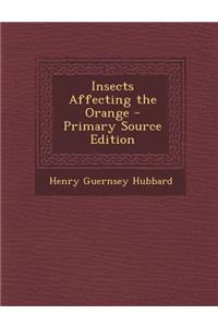 Insects Affecting the Orange