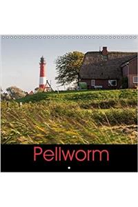 Pellworm 2018 2018