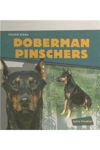 Doberman Pinschers