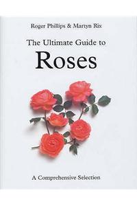 Ultimate Guide to Roses