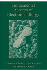 Fundamental Aspects of Electrometallurgy