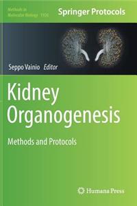 Kidney Organogenesis