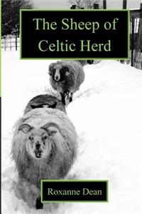 Sheep of Celtic Herd