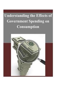 Understanding the Effects of Government Spending on Consumption