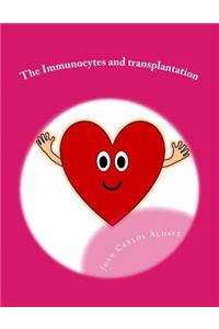 Immunocytes and transplantation