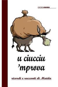 u ciucciu 'mprova