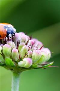 A Lucky Ladybug on a Flower Journal