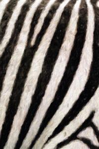 Zebra Texture Painted Notebook