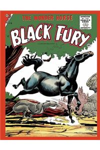 Black Fury # 6