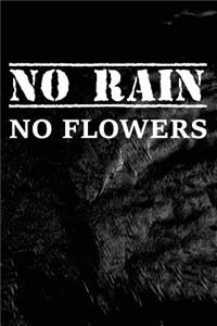 No Rain No Flowers