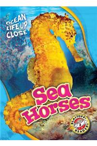 Sea Horses