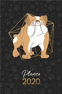 Planer 2020