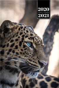 Panther Leopard Cheetah Cougar Week Planner Weekly Organizer Calendar 2020 / 2021 - Blue Eyes