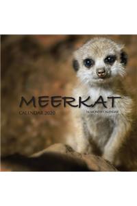 Meerkat Calendar 2020