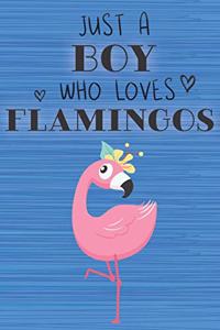 Just a Boy Who Loves Flamingos