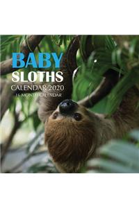 Baby Sloths Calendar 2020