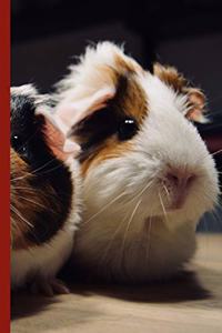 Guinea Pig Says Dot Grid Journal