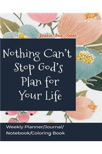 Nothing Can't Stop God's Plan for Your Life