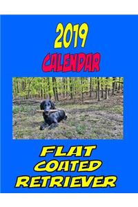 2019 Calendar Flat Coated Retriever